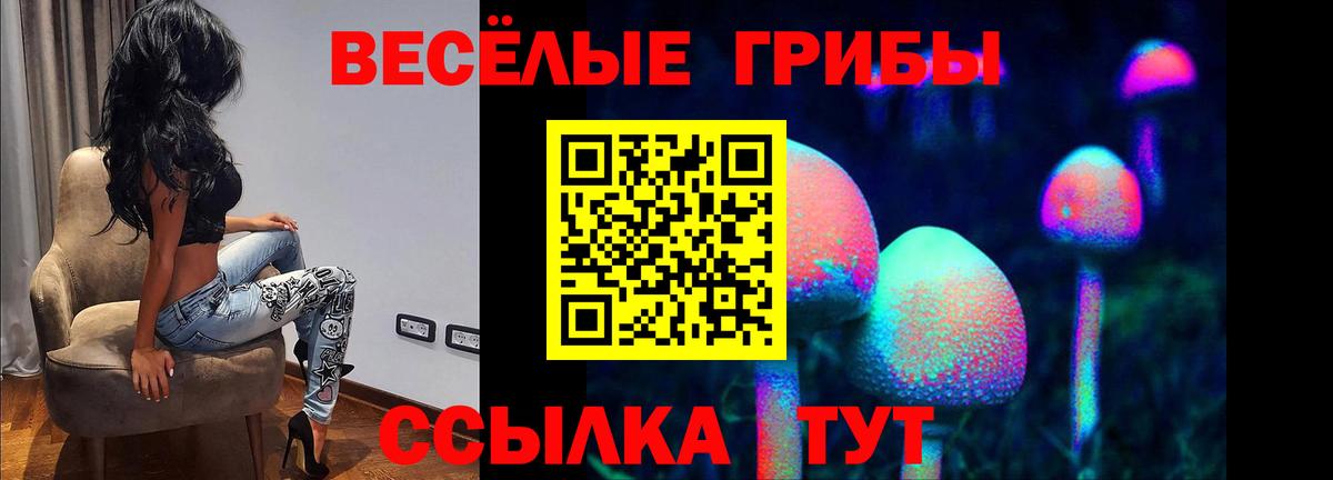 Галлюциногенные грибы MAGIC MUSHROOMS  Вход с VPN  Нарткала  Галлюциногенные грибы Psilocybe 